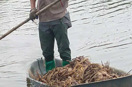 上涉湖濕地保護