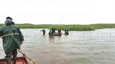 上涉湖濕地保護